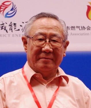 华南理工大学天然气利用研究中心主任