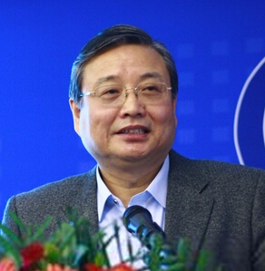 国家电网公司总经理助理